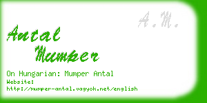 antal mumper business card